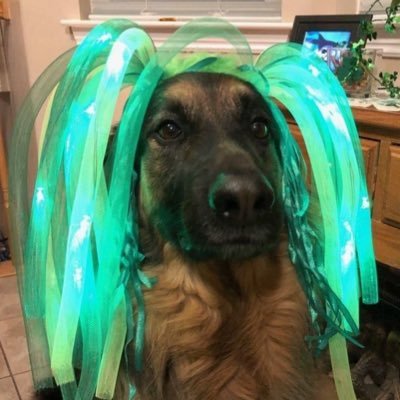 urm0m365's profile picture. never been happierrr | she/her | Med studentt🩺                                                                       यतो धर्मस्ततो जयः 🐯