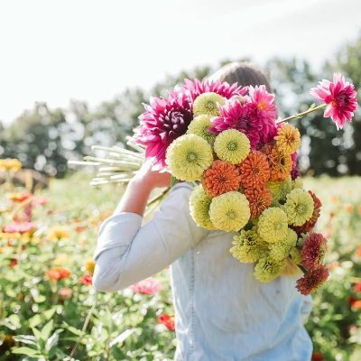 VienJohnson's profile picture. From seedlings to blooms | Solutions Seeker | Every crises lies an opportunity | 🐩🐈 Lover | Traveler