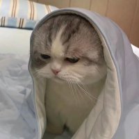 Taki (@takialwayswins) 's Twitter Profile Photo