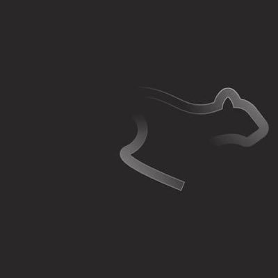 invjacob1's profile picture. (real) keetard | $KTA