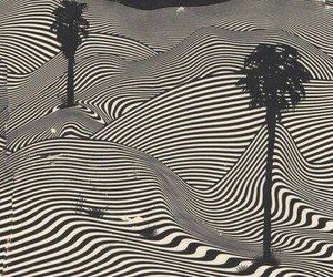 DCustomCabinet's profile picture. Here for the dogs