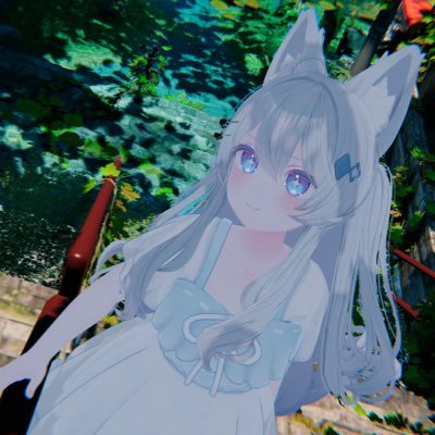 Limephoto2679's profile picture. ライムちゃんかわいい！ライムちゃんを撮ろう！！