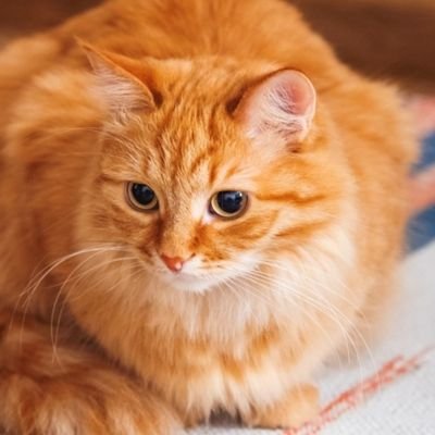 vitaminC49's profile picture. Calm