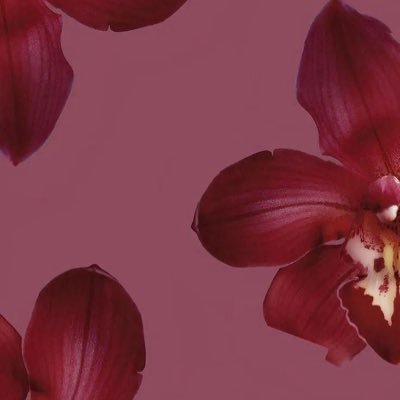 squeakmissa's profile picture. 