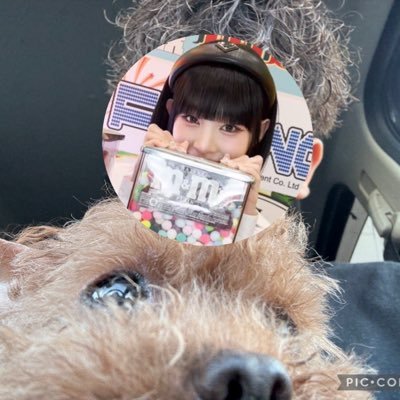 bochi1204's profile picture. ME:I 飯田栞月 | 札幌 | YOU:ME | DOU:ME | 🚹94 | JO1 白岩瑠姫 | INI 後藤威尊