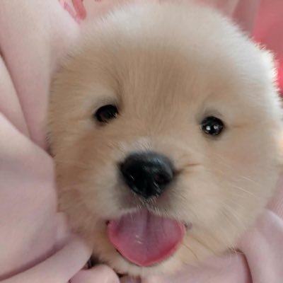 wobblebubbleeee's profile picture. 구독계..(착함)