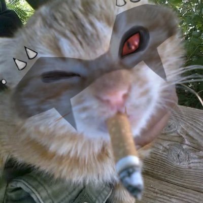 spiderrbyte's profile picture. 26! widow, ashe, illari, jq main =^•^= married to @deepfriedfrenzz