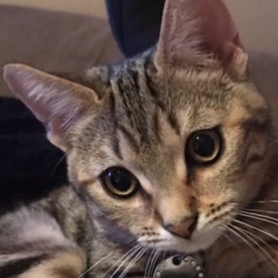 AnthonyMarxxx's profile picture. 