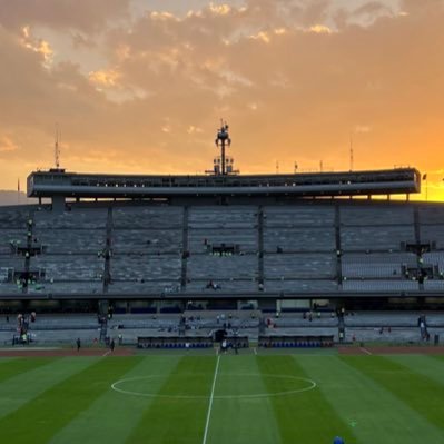 Dackzee16's profile picture. 