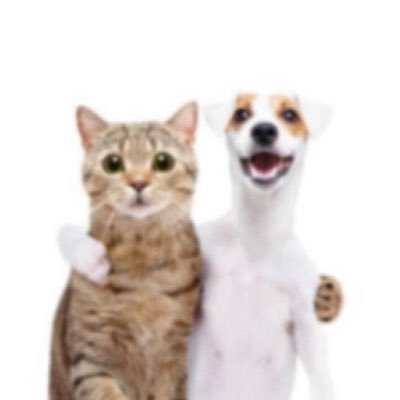 StearnsAlt's profile picture. Bro do you know who inam