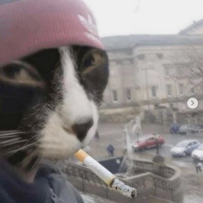 Schrodingejknl's profile picture.