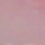 kiskw0's profile picture. 