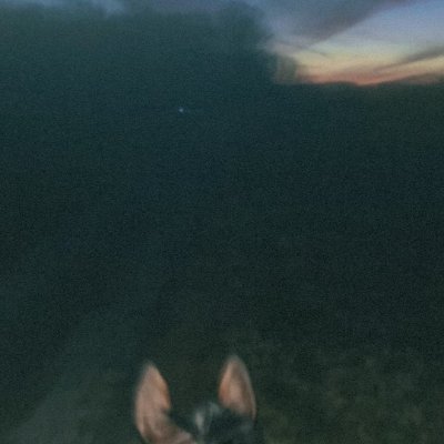 shhgenshinlovrr's profile picture. he/him 21