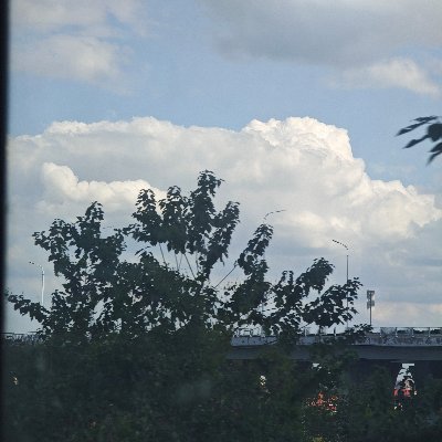 lroyin180408's profile picture. 。