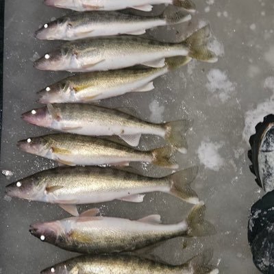 Timetofishfor1's profile picture. 