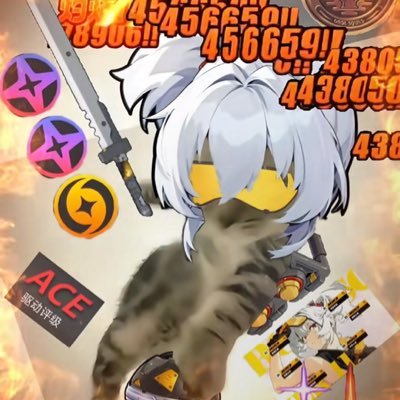 kaysさんのプロフィール画像