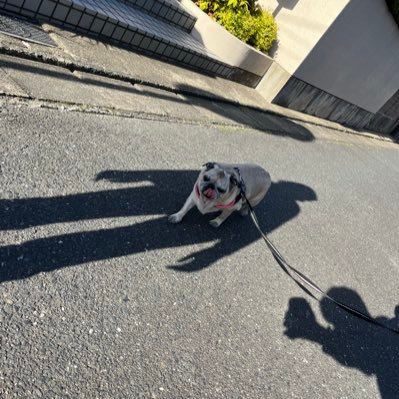 k_t_s_s_'s profile picture. 関東で働いています。