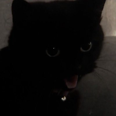 hito_sol's profile picture. onchain hunter
