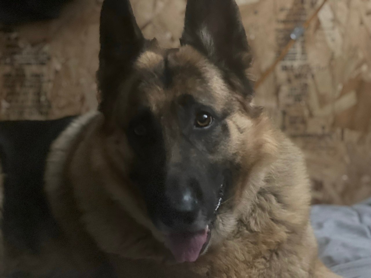 IgnacioG3236's profile picture. 