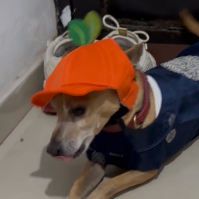 _erikaesquivel's profile picture. God give us hope but we still fear what we don't know | 31.03.17⚡️| 26-27.04.22 ⚡️| 30.09.22 ⚡️| 09.10.24⚡️