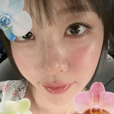 aepplehan's profile picture. 