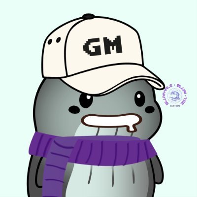 ChuNguynBo8's profile picture. @MorphLayer base.eth