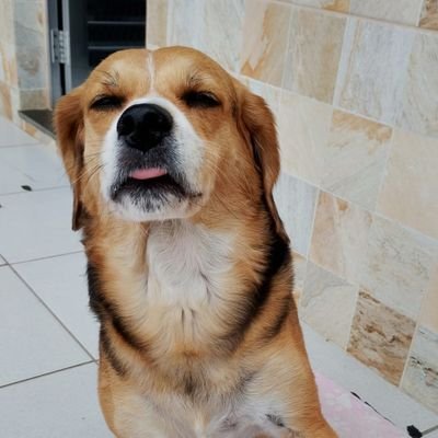 darkx9xxx's profile picture. Fortnite player
60hz 
0$