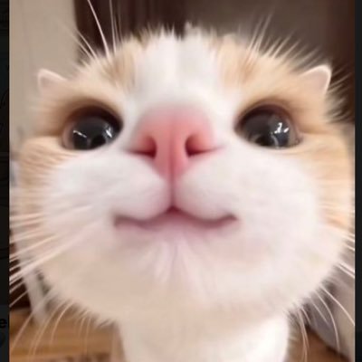 NatutoM12898's profile picture. 