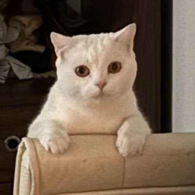 hasinrizeli53's profile picture. 