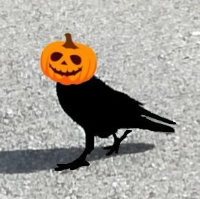 the_raven77's profile picture. 
