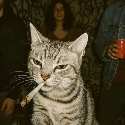 101_boris_'s profile picture. ✌❤️