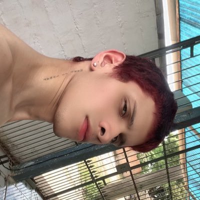 abnerwer1's profile picture. Instagram: https://t.co/IkFrDSlER7