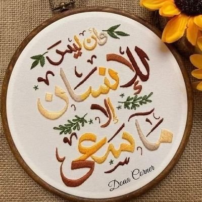 eliasoberg1's profile picture. 