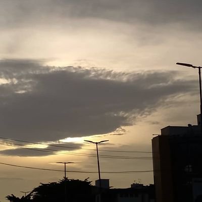 Degenzii's profile picture. Weirdly okayy
My name says what I do.