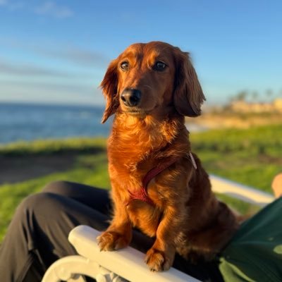 kalindberg44's profile picture. 