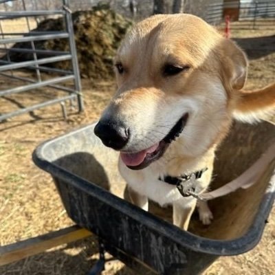 leedaniel01's profile picture. I believe in God and in the pursuit of truth. I believe that there is goodness in this world that must be preserved. I believe in everyday people. No DM’s