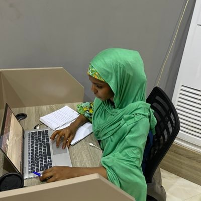 LucidBytee's profile picture. Turning data into clarity | CS Student | Health & social impact | #dataForGood