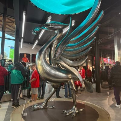 hjmac41's profile picture. 34% Northern, 21% Irish, 21% Welsh, 16% Scottish & 8% Scandinavian. I identify as a Viking.