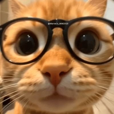 MarceloMM2025's profile picture. Mercados, Economía y Finanzas.                              
Trader 📈 📊. La mejor forma de aprender es operando. Despunto el vicio con info de política ...🤷