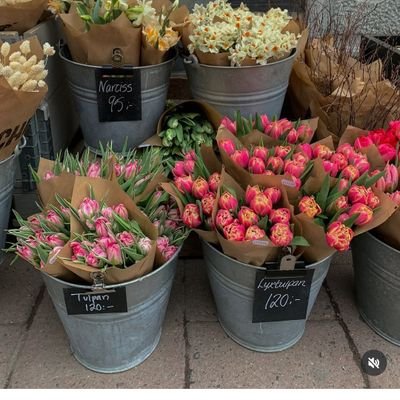 hasanenvir's profile picture. 