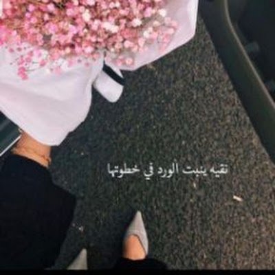 AltamSamar87603's profile picture. 