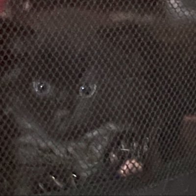 _nv8i's profile picture.