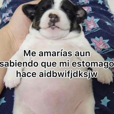 EstopierMarcos's profile picture. Hola