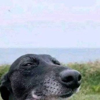 Vo_lver's profile picture. BELIEVE. RETRIEVE. RETURN.