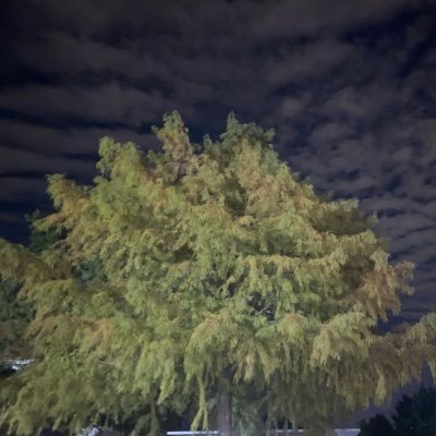 meetmachhindra's profile picture. 