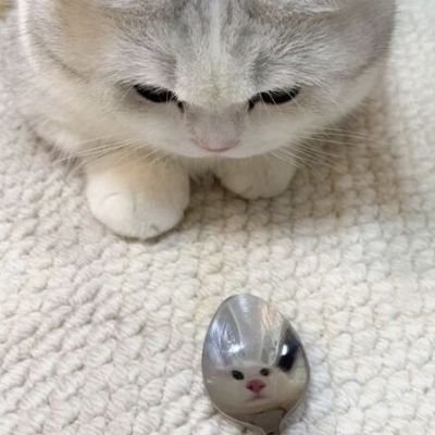 Karajarati's profile picture. Honourary Amazigh ⵣ 
Tetteɣ seksu i yal ass
Bedtime Mo-Fr: 10 pm
Bedtime St-Su: 12 pm
Private: @Karakjarati
Linguistics: @Akjarati