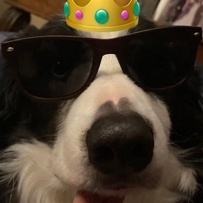 StealerStorm1's profile picture. BASED Christian supremacist / Slur enthusiast