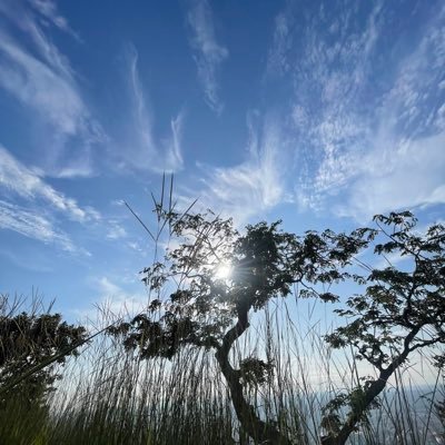 Johndavisx's profile picture. we all deserve to be happy ☺️