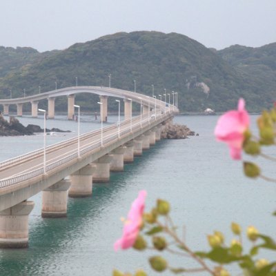 0xec11's profile picture. {
肩書: ソフトウェアエンジニア
趣味: 旅行、伝統的object
}