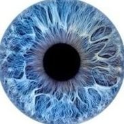 deTobiS's profile picture. 𝚃𝚑𝚎 𝚙𝚛𝚎𝚝𝚝𝚒𝚎𝚜𝚝 𝚐𝚒𝚛𝚕 𝙸 𝚎𝚟𝚎𝚛 𝚜𝚎𝚎𝚗 ( @valt3rios )
Kghn ♡
   ═════ ⋆★⋆ ════════ ⋆★⋆ ═════ @luliii_z  💙